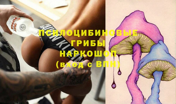 прущая мука Кодинск