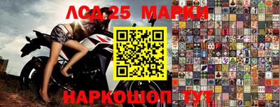 шишки Кимры