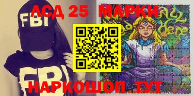 индика Камышлов