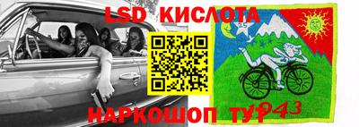 шишки Кимры