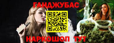 индика Камышлов