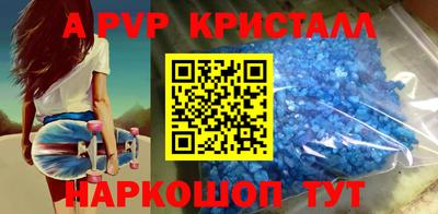 индика Камышлов