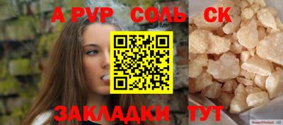 индика Камышлов