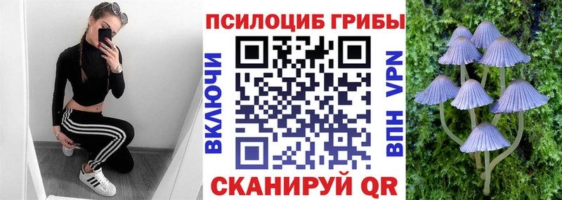 где купить   Корсаков  Псилоцибиновые грибы Psilocybine cubensis 