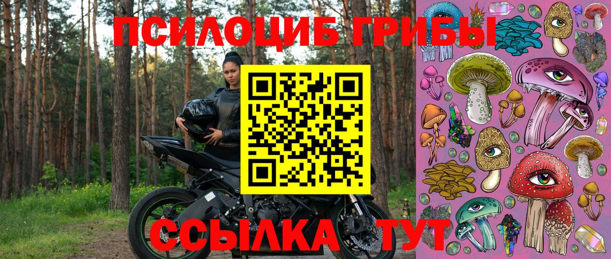 Галлюциногенные грибы MAGIC MUSHROOMS  Галлюциногенные грибы Cubensis  Корсаков  Вход с VPN 