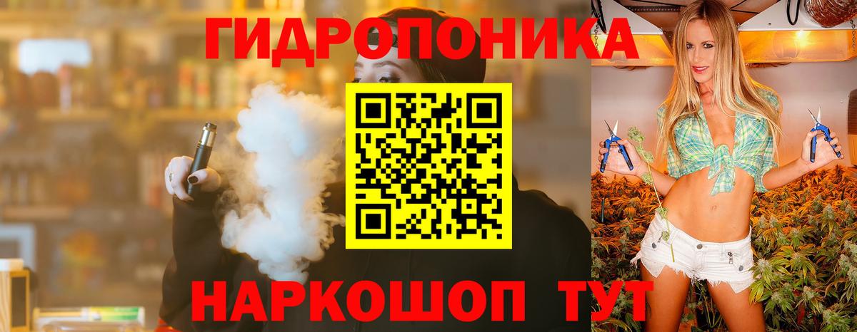 МАРИХУАНА гибрид Корсаков